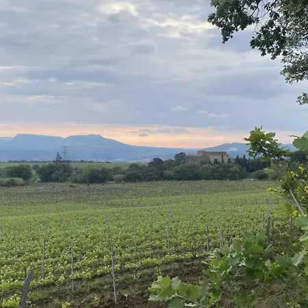 Tatil Evi La Maison Du Berger